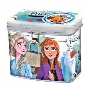 Frozen Secret Box